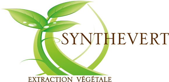 Synthevert Logo